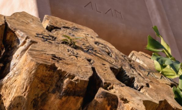 Alan Rain Forest Wild Luxury Hotel