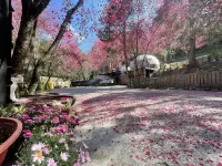 Mhuwe Forest Hotspring CingJing Hotel in zona Lushan Bridge