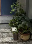 嵩縣聚賢山莊民宿