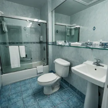 The Congress Plaza Hotel & Convention Center Отели рядом с достопримечательностью «Адлер планетариум»