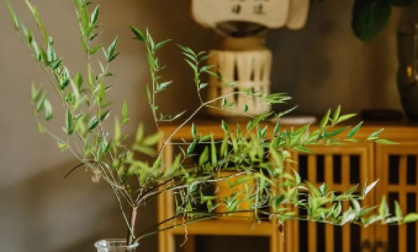 Xianqingshan Homestay (Xihu Qingzhiwu)