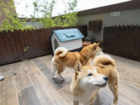 Lanwan Hotel Hotels in Weining