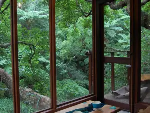 Treeful Treehouse Sustainable Resort