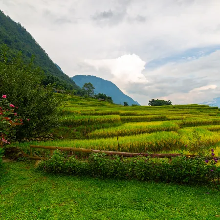Moc Home Sapa