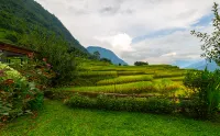 Moc Home Sapa فنادق في 
