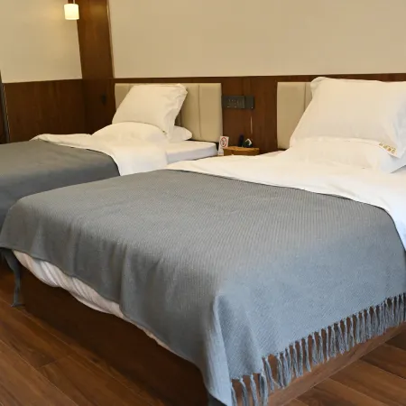 Weixi Nengcong Kangba Hotel