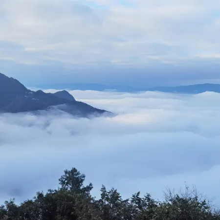Wuliangshan Bodhi wild luxury tent camp