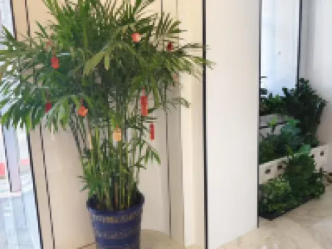 Cuilin Yaju Hotel Hotels in Hulin