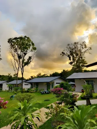 D View Holiday Homes