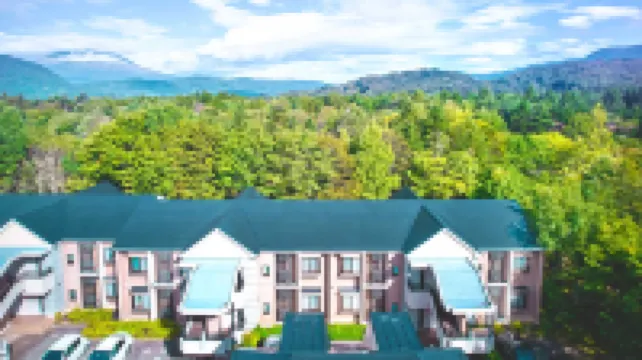 東急假期 輕井澤 鄰近輕井澤王子飯店滑雪場的酒店