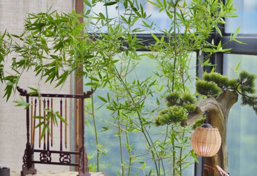 Nanhai Years Homestay 맛있는 조식