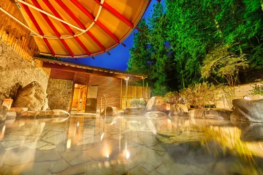 Ooedo Onsen Monogatari Gero Bekkan (Old:Yukai Resort Gero Saichoraku Bekkan)