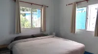 Deniz’s Temple Light - Pet friendly