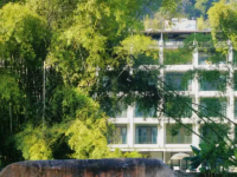 SYYF詩與遠方·河畔院子(陽朔十里畫廊遇龍河店) 十里畫廊-月亮山附近的飯店
