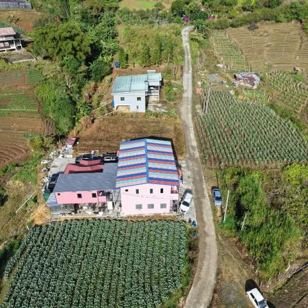 Kundasang Pink Homestay