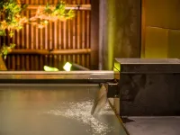 Luxury Hakone Villa: Private Onsen, Sauna & Pool - 溫泉