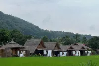 Nansilarom - Wifi