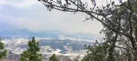 Egongbao Homestay - que admiten mascotas