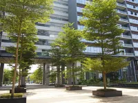 Duoduo · Ins Light Luxury Apartment (Nancheng Huiyicheng)