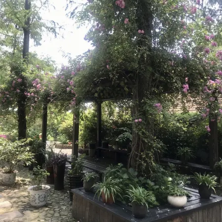 Moganshan Qingyan Residence (Yu Village Plaza Store)