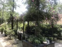 Moganshan Qingyan Residence (Yu Village Plaza Store)