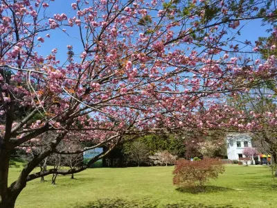 Siming Village Woodland Resort Hotels in Siming Lake/Siming Mountain Scenic Area