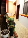 昆明紅土盛夏民宿 - 農家樂