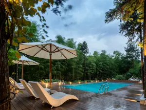 The Bamboo Holiday