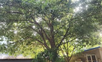 Nanjing Wutong Shuxia Homestay (Fuzimiao)