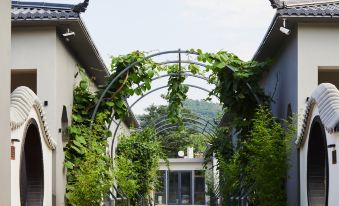 Rainbow Garden