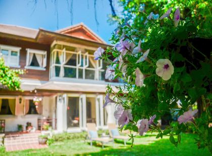 バンヤン ハウス サムイ B&B - アダルツ オンリー