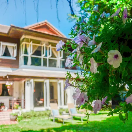 Banyan House Samui Bed and Breakfast (Adult Only) Отели рядом с достопримечательностью «Большая статуя Будды»