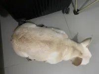 Qibo·Su (Zhongshan Road Bashi)