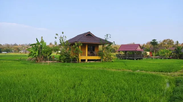 บังกะโลซูพีเรียเตียงใหญ่ (8)