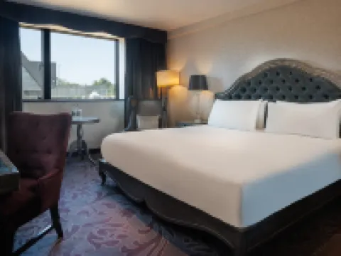 Hilton London Syon Park Hotels in Brentford