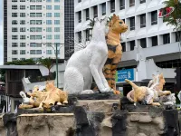 Natol Homestay- Riverbank Suites High Rise City Centre Hotels in Kuching