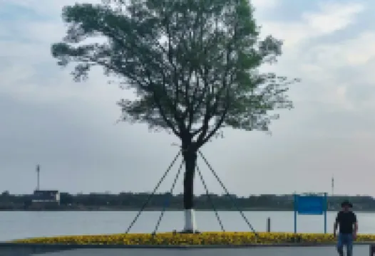 雲居假日公寓（海寧許村鎮政府杭海萬朵城店）