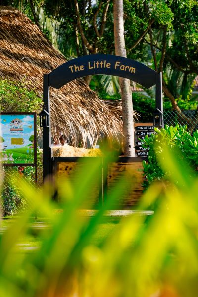 庭 ハイアット リージェンシー ダナン リゾート＆スパの写真