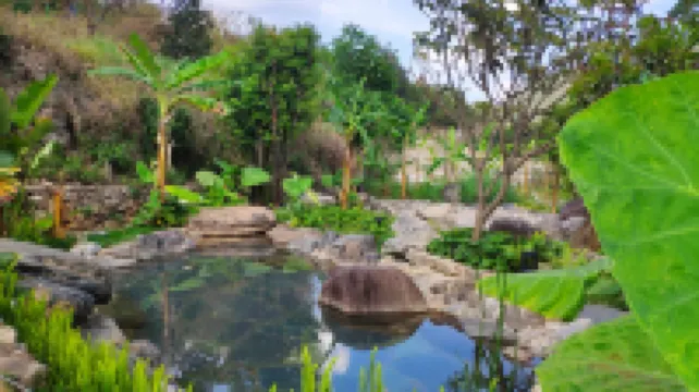 Yuan She Yan Zhi Hot Spring Hotel