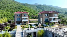 Panshan Forest Wellness Homestay