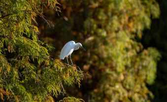 Lake Villa Yunhupan Chinese Inn (Kunming Dianchi Haigeng Dam)