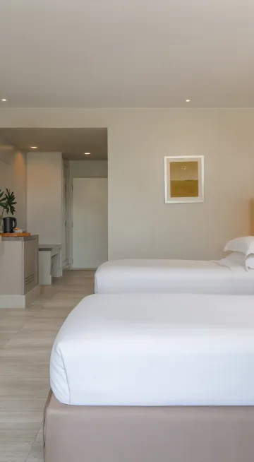 ดีลักซ์วิวภูเขา - ทวิน