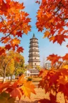 Orange Hotel (Fuyang Yingshang North Road Long distance Bus Station)