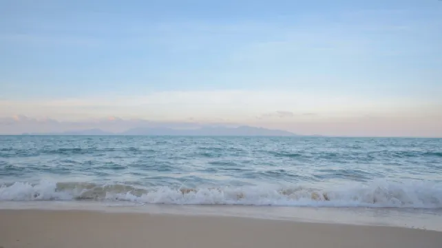 ทรี มังกี้ส์ แม่น้ำ