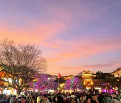 Xichen • Holiday | Chinese Waterfall Scenic Cultural Boutique Stay - カップル