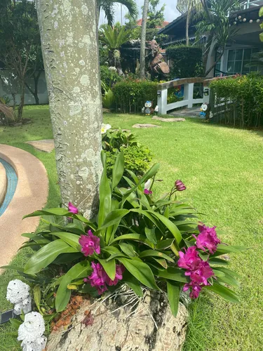 รูปภาพของเลท ชิว พูลวิลล่า พัทยา นาจอมเทียนและสัตหีบ