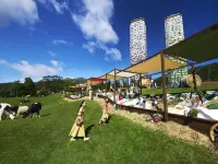 Hoshino Resorts RISONARE Tomamu Hotels in Shimukappu