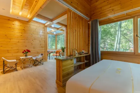 Spring Breeze Cabin Hotel Отели в г. Цинъянь