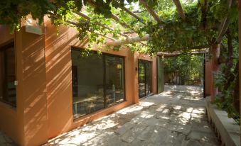 Friends of Turpan · Adaxi Homestay (Putaogou Scenic Area Store)