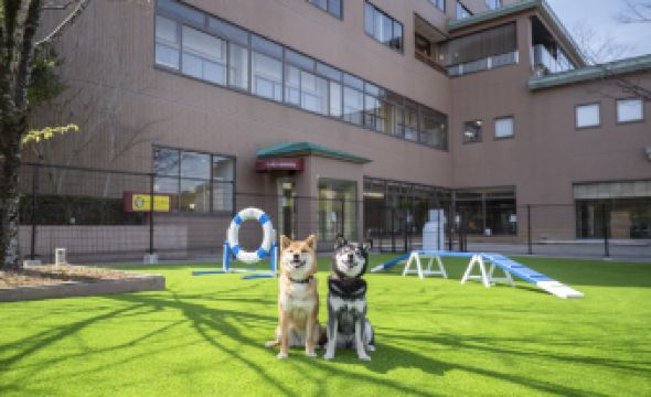 Hamanako Wan Wan Paradise Hotel